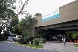 articulo relacionado