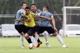 articulo relacionado
