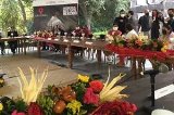 articulo relacionado