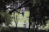 articulo relacionado