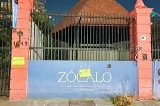 articulo relacionado