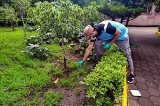 articulo relacionado