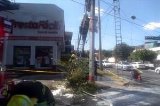 articulo relacionado