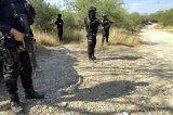 articulo relacionado