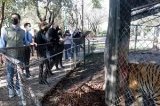 articulo relacionado