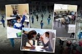 articulo relacionado