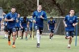 articulo relacionado