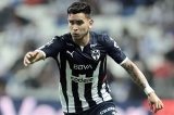 articulo relacionado