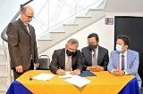 articulo relacionado