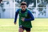 articulo relacionado