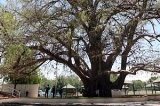 articulo relacionado