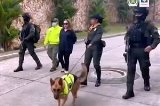 articulo relacionado