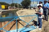 articulo relacionado