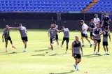articulo relacionado