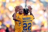articulo relacionado