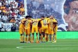 articulo relacionado