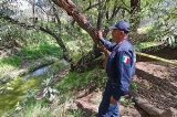 articulo relacionado