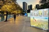 articulo relacionado