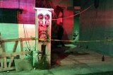 articulo relacionado