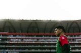 articulo relacionado