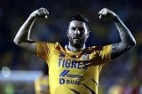 articulo relacionado
