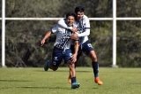 articulo relacionado