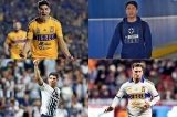 articulo relacionado