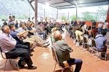 articulo relacionado