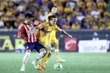 articulo relacionado