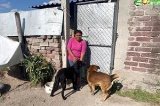 articulo relacionado