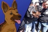 articulo relacionado
