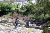 articulo relacionado