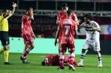 articulo relacionado
