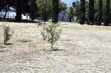 articulo relacionado