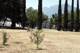 articulo relacionado
