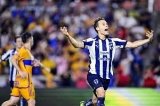 articulo relacionado