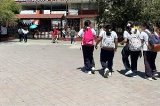 articulo relacionado