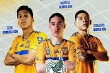 articulo relacionado
