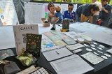 articulo relacionado