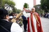 articulo relacionado