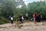 articulo relacionado