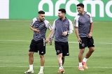 articulo relacionado