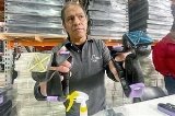 articulo relacionado