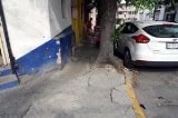 articulo relacionado