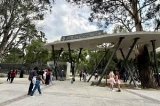 articulo relacionado