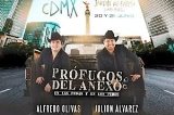 articulo relacionado