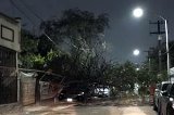 articulo relacionado