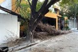 articulo relacionado