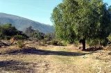 articulo relacionado