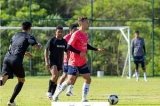 articulo relacionado